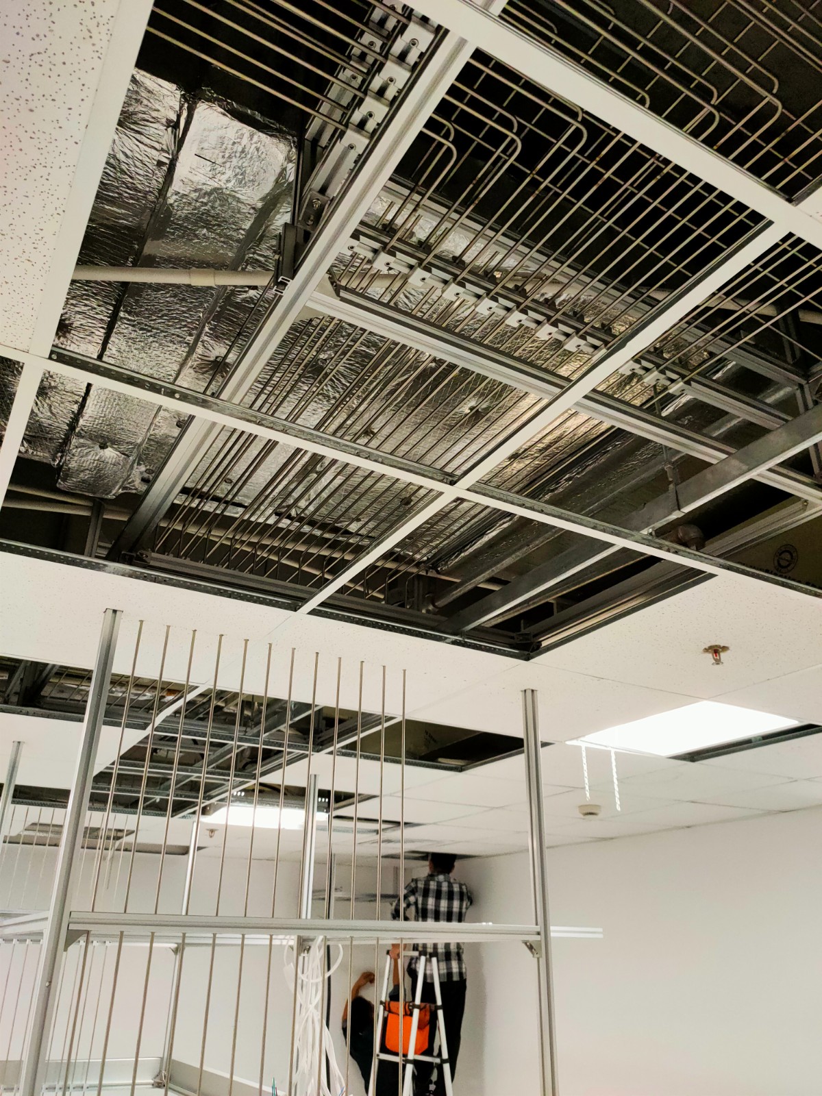 1743046474664154.jpg 1743046474664154.jpg